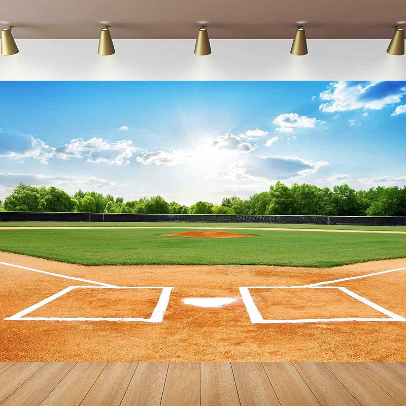 Baseball Field Photography Bac - Outdoor Sport Background 评论和价格